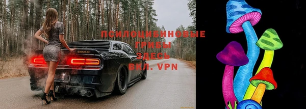 экстази Бородино