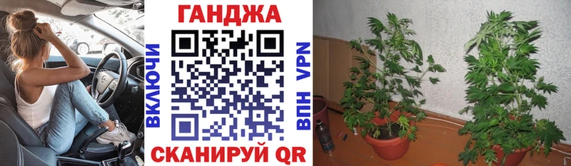 Купить где  Котельники  Бошки марихуана индика 